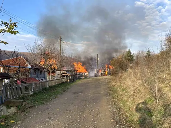 Sinop'ta Yangında Ev, Ahır ve Ambar Küle Döndü