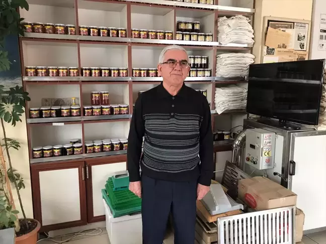 Bolu İli Arı Yetiştiricileri Birliği, Varroa Hastalığına Karşı İlaçlama Yapacak