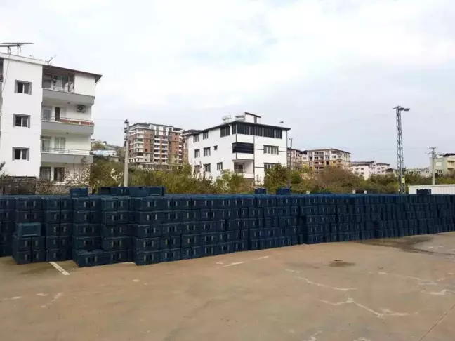 Hatay Büyükşehir Belediyesi Tarımsal Üretimi Destekliyor