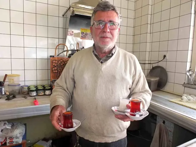 Burhaniye'de Zeytin Hasadı Yoğunluğu