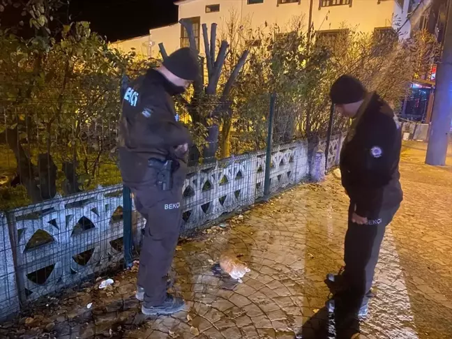 Sakarya'da yaralı kedi bekçiler tarafından tedavi altına alındı