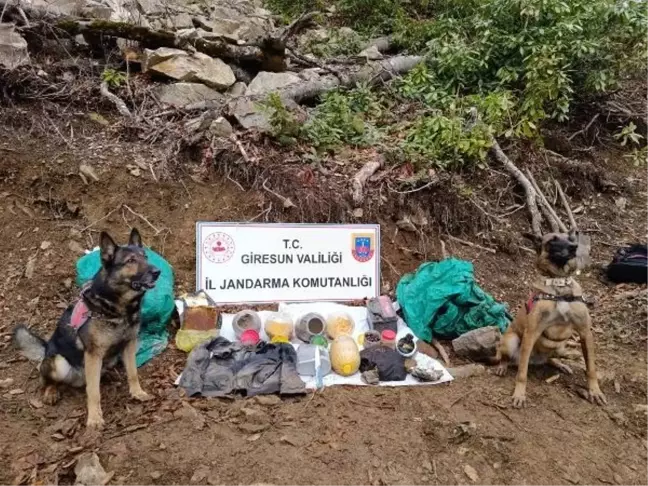 Giresun'da terör örgütünün kullandığı sığınak bulundu