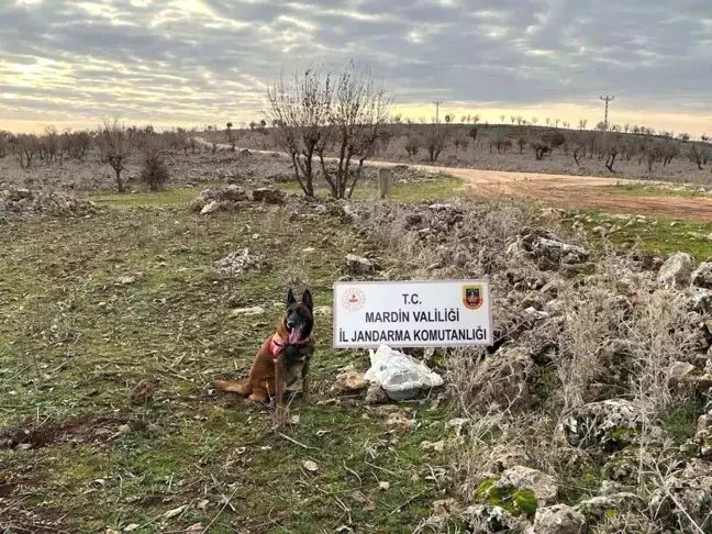 Mardin'de Yola Tuzaklanmış EYP İmha Edildi