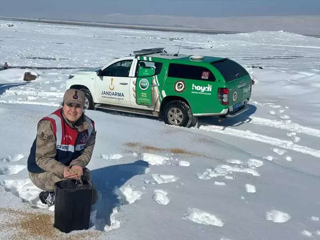 Bitlis'te Yaban Hayvanlarına Yem Bırakıldı