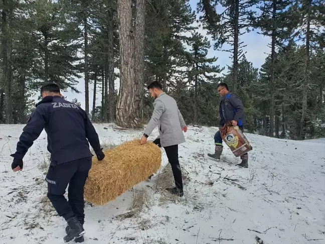 Demirci'de Kar Yağışının Ardından Yaban Hayvanlarına Yem Bırakıldı
