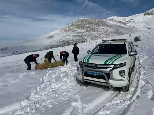 Kahramanmaraş İl Jandarma Komutanlığı, Zorlu Kış Şartlarında Yaban Hayvanlarına Yem Bıraktı