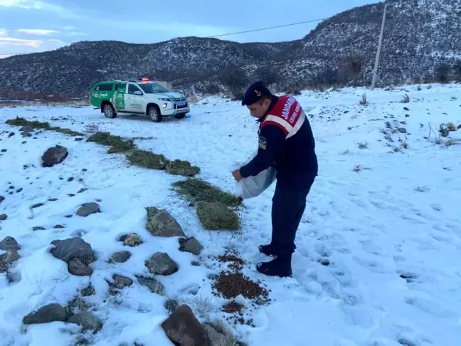 Aksaray'da Jandarma Ekipleri Sokak ve Yaban Hayvanlarını Besliyor