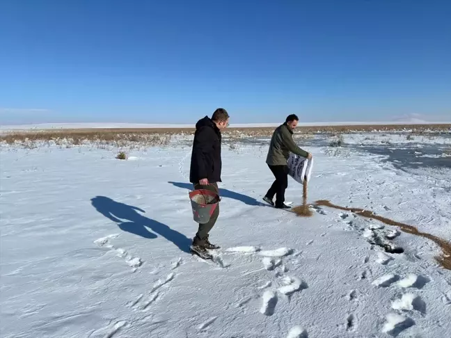 Ardahan ve Kars'ta dondurucu soğuklar nedeniyle yaban hayvanlarına doğada yem bırakıldı