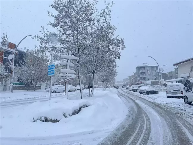 Van, Bitlis ve Muş'ta Kar ve Tipi Nedeniyle Yollar Kapandı