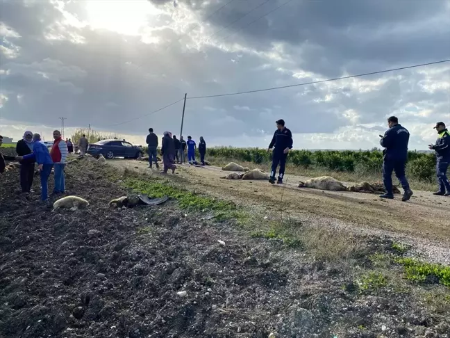 Adana'da otomobil çobana çarptı, çoban ağır yaralandı