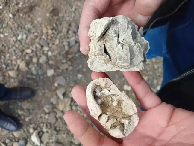 Niğde'de Bulunan 'Dinozor Fosili' Aslında Traverten Taş Yumruları Çıktı