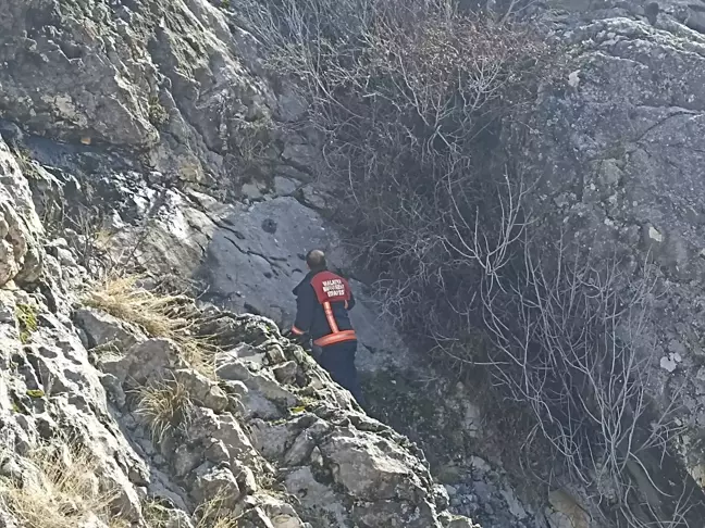 Darende'de mahsur kalan 8 keçi itfaiye ekiplerince kurtarıldı
