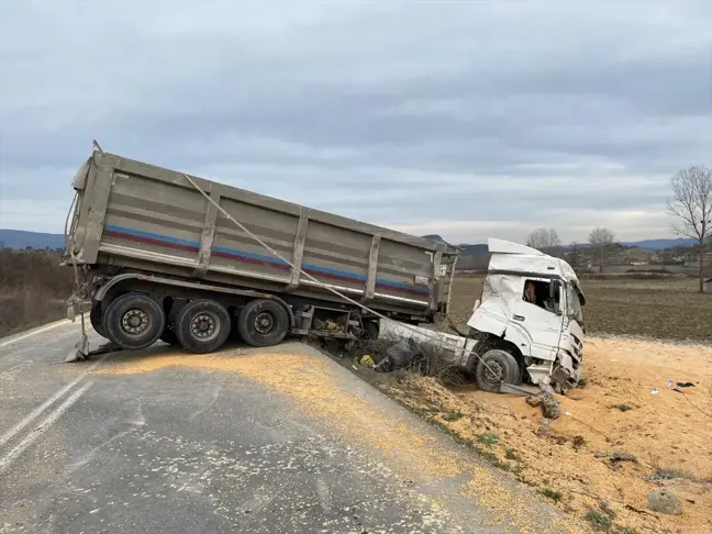 Sakarya'da kamyon tarlaya devrildi, sürücü yaralandı