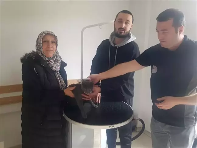 Düzce'de kaybolan kedi mikroçip sayesinde sahibine teslim edildi