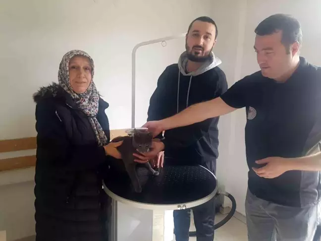 Düzce'de kaybolan kedi mikroçip sayesinde sahibine ulaştı