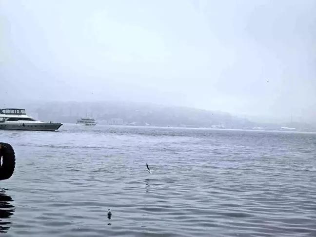 İstanbul Boğazı'nda Yoğun Sis Nedeniyle Gemi Trafiği Durdu