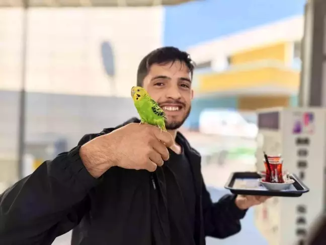 İnegöl'deki Hastane Kantininde Çalışan Gencin Muhabbet Kuşu İbiş