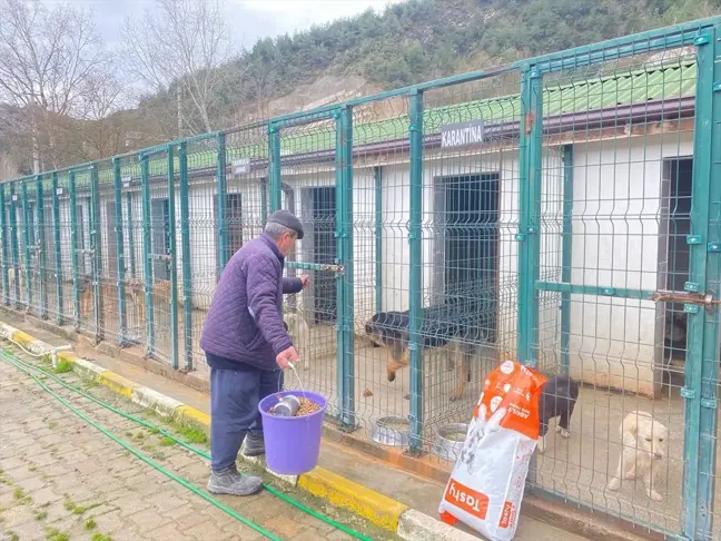 Osmaneli Belediyesi Sokak Hayvanları Merkezi'ne 4 Ton Mama Bağışı
