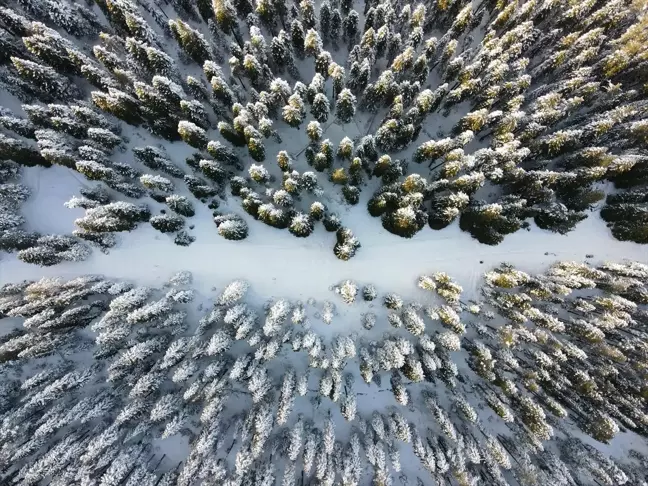 Ilgaz Dağı Milli Parkı'nda Kar Manzaraları