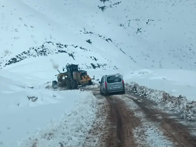 Siirt'in Pervari ilçesinde mahsur kalan 2 araç kurtarıldı