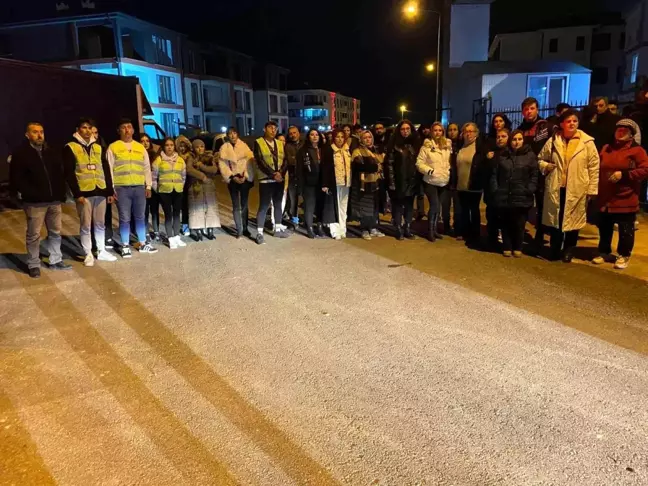 İnegöl'de 6 Yavru Kedinin Başları Kesilerek Öldürüldü