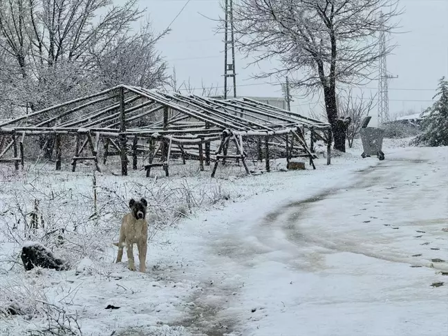 Malatya'da Kar Yağışı Etkili Oldu