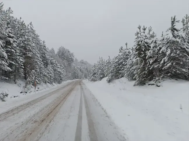 Kastamonu'nun yüksek rakımlı noktalarında kar etkili oldu