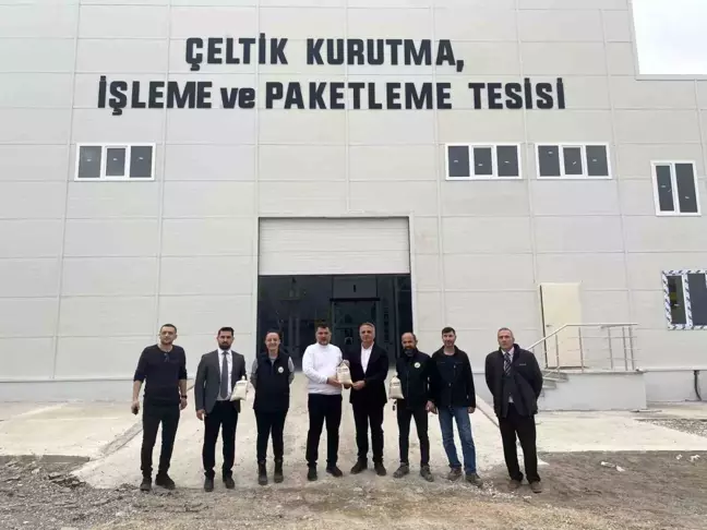 Düzce'de Çeltik Kurutma Tesisi Faaliyete Geçti