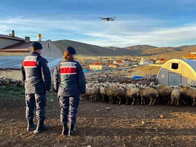 Kayseri'de kayıp 150 koyun dron ile bulundu