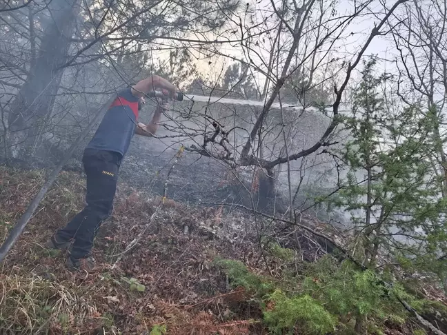 Sinop'un Gerze ilçesinde çıkan örtü yangını büyümeden söndürüldü