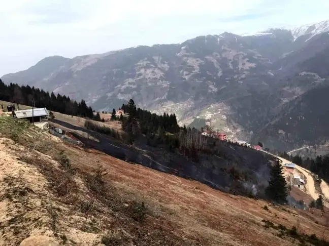 Trabzon'un Çaykara ilçesinde ormanlık alanda yangın çıktı