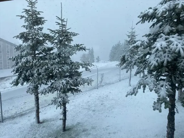 Bolu'nun yüksek kesimlerinde nisanda kar etkisini gösterdi