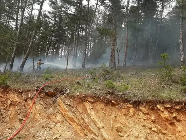 Karabük'ün Eflani ilçesinde çıkan örtü yangını söndürüldü