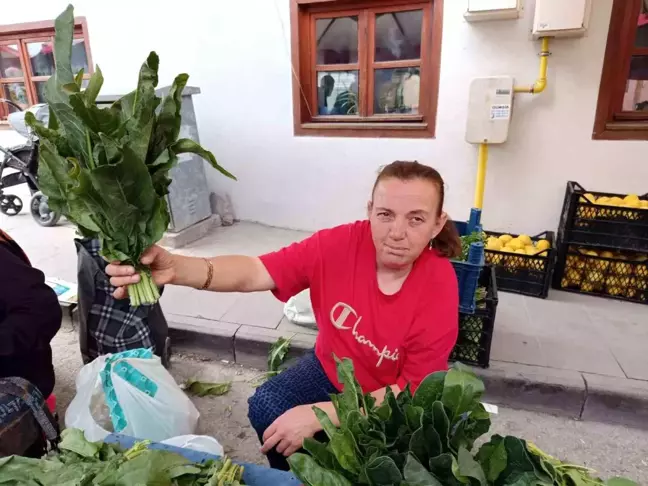 Eskişehir'de Labada Bitkisi İşleri İyi Gidiyor