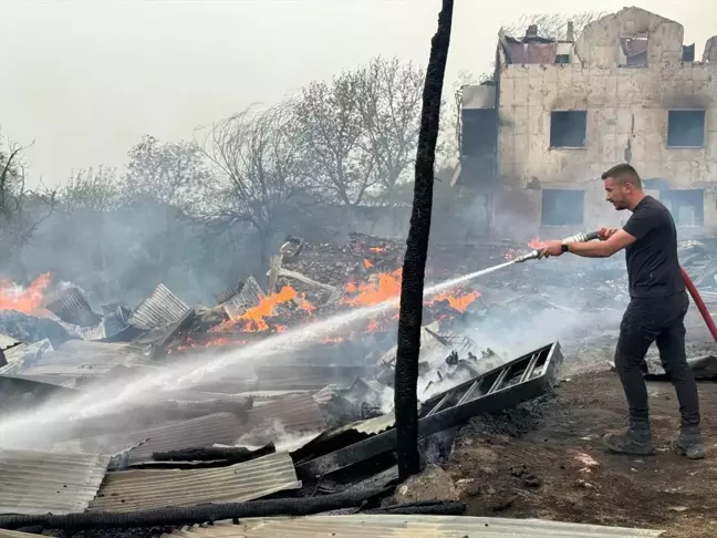 Kastamonu'da çıkan yangında 2 ev ve ahırlar zarar gördü, 4 büyükbaş hayvan öldü