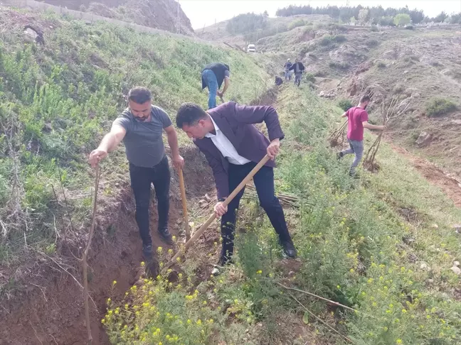 Sivas'ın Zara ilçesinde Alparslan Türkeş Meyve Bahçesi oluşturuldu