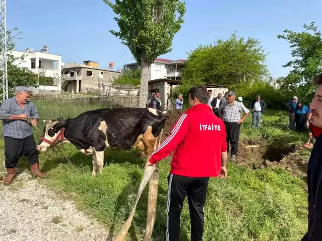 Kahramanmaraş'ta Su Kuyusuna Düşen İnek ve Koyun İtfaiye Ekiplerince Kurtarıldı