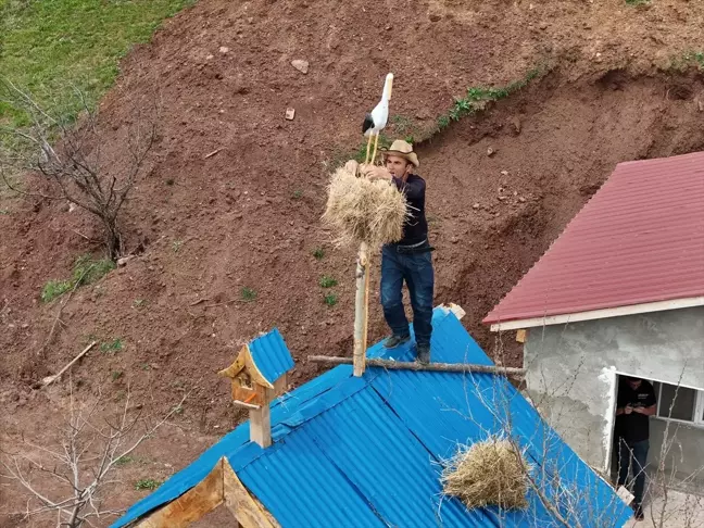 Terörden kaçan köye leylekler geri dönüyor