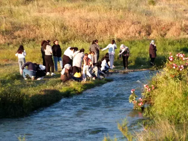 Burhaniye'de Hıdırellez Kutlamaları Devam Ediyor