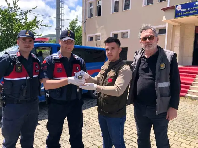 Zonguldak'ta Yaralı Çobanaldatan Kuşu Tedavi Altına Alındı