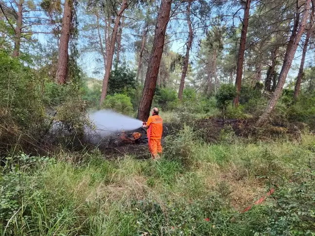 Kemer'de Ormanlık Alanda Çıkan Yangın Söndürüldü