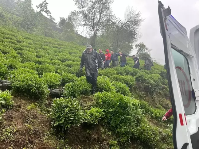 Rize'de çay hasadı sırasında düşen şahıs sedye ile hastaneye taşındı
