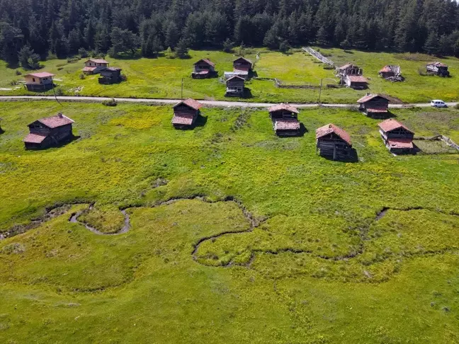 Kastamonu'nun Araç ilçesindeki yaylalar doğaseverleri bekliyor