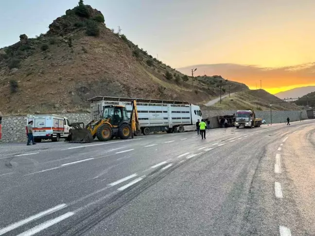 Siirt'te tır devrildi: 2 kişi yaralandı, 40 küçükbaş hayvan telef oldu