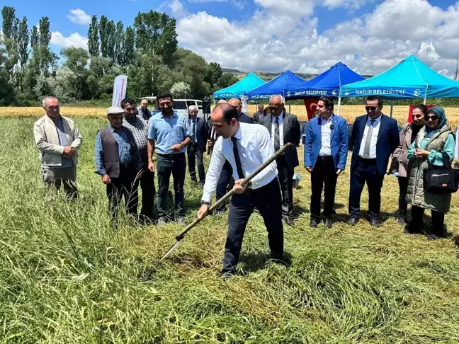 Çorum İskilip'te tarla günü etkinliği düzenlendi