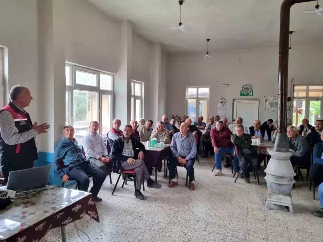 Eskişehir'de Yaprağı Yenen Sebzelerde Kalıntıyla Mücadele Eylem Planı Devam Ediyor