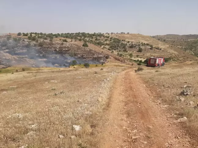 Mardin'de Örtü Yangını Kontrol Altına Alındı