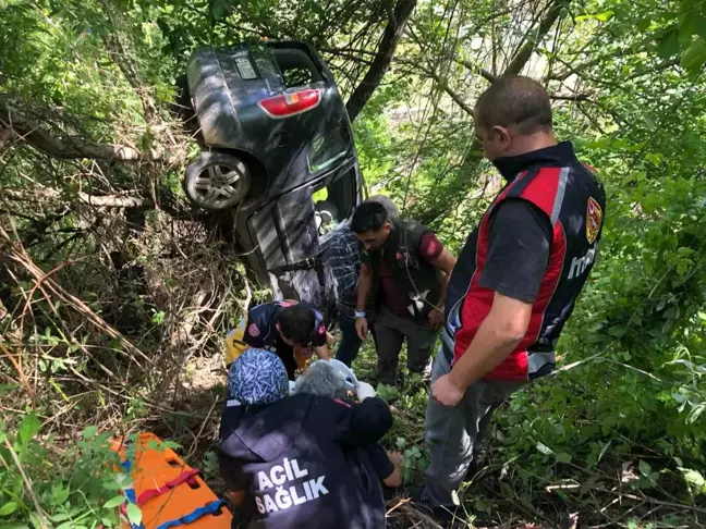 Artvin'de otomobil şarampole devrildi