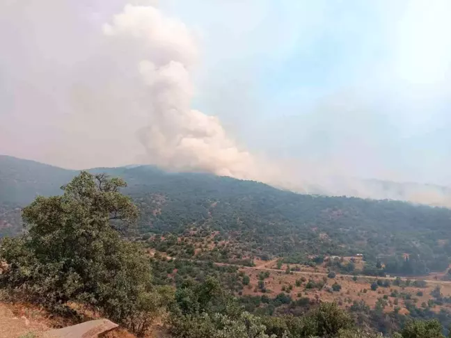 Manisa'da çıkan yangına müdahale eden ekip sayısı arttı