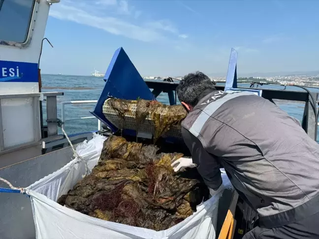 İzmit Körfezi'nde 7 Bin 950 Metreküp Deniz Çöpü Toplandı